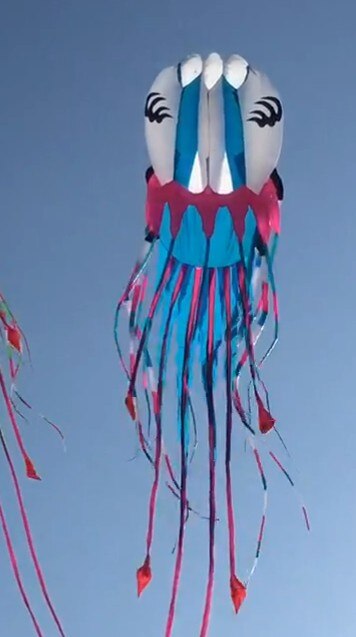 Jellyfish-latawiec cerf volant vlieger  ο, ö..